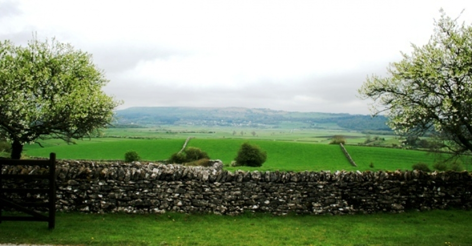 Grassgarth