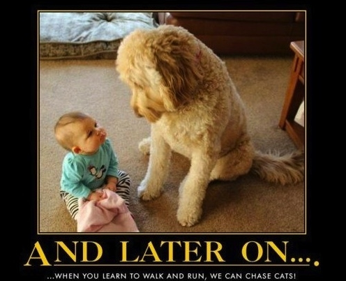 Best Buddies