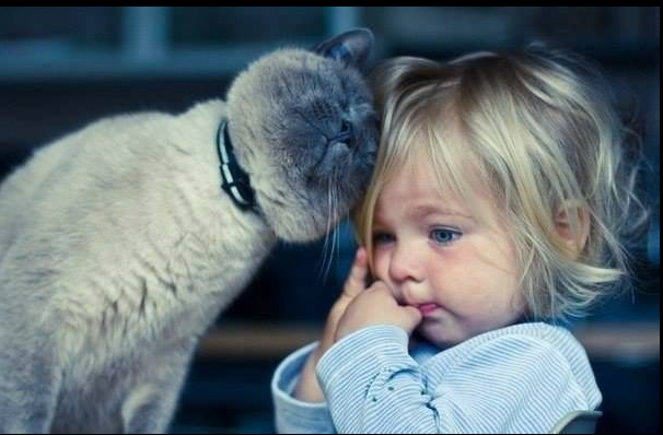 Best Friends