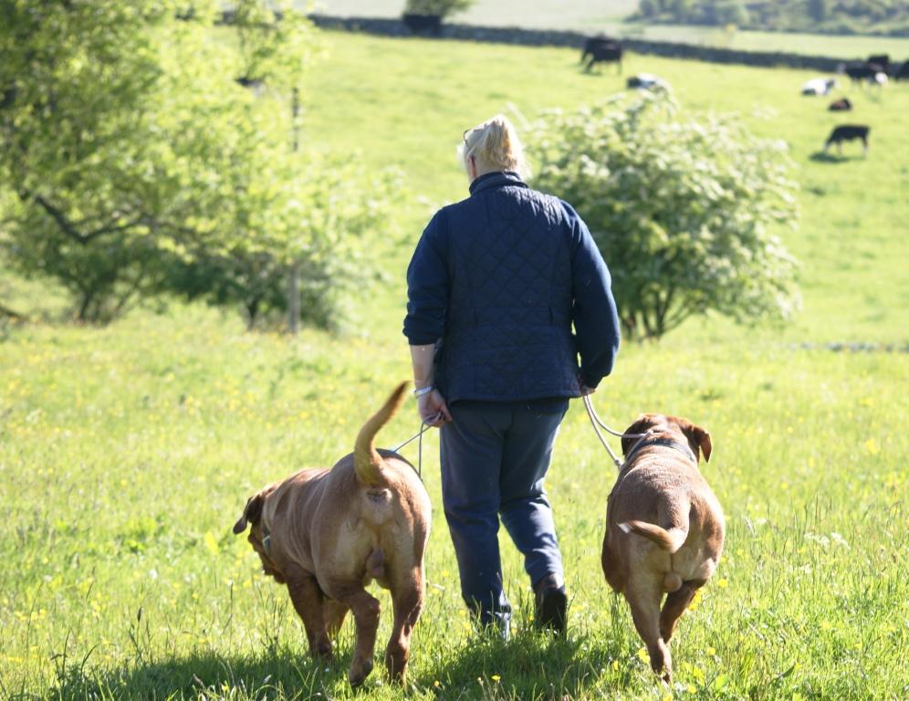 Grassgarth Kennels