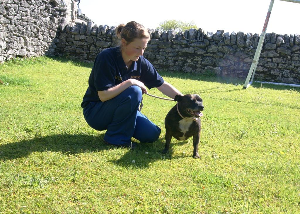 Grassgarth Kennels