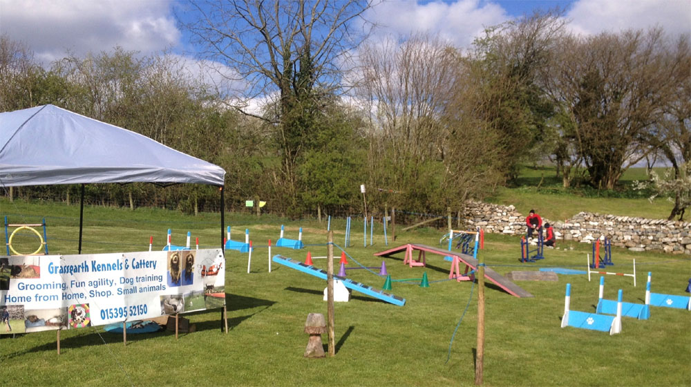 Fun Agility at Damson Day